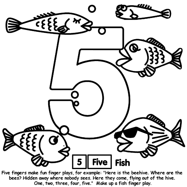 Number 5