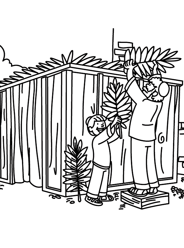 Building a Sukkah