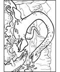 Plesiosaurus