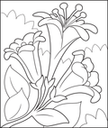 Easter Lilies