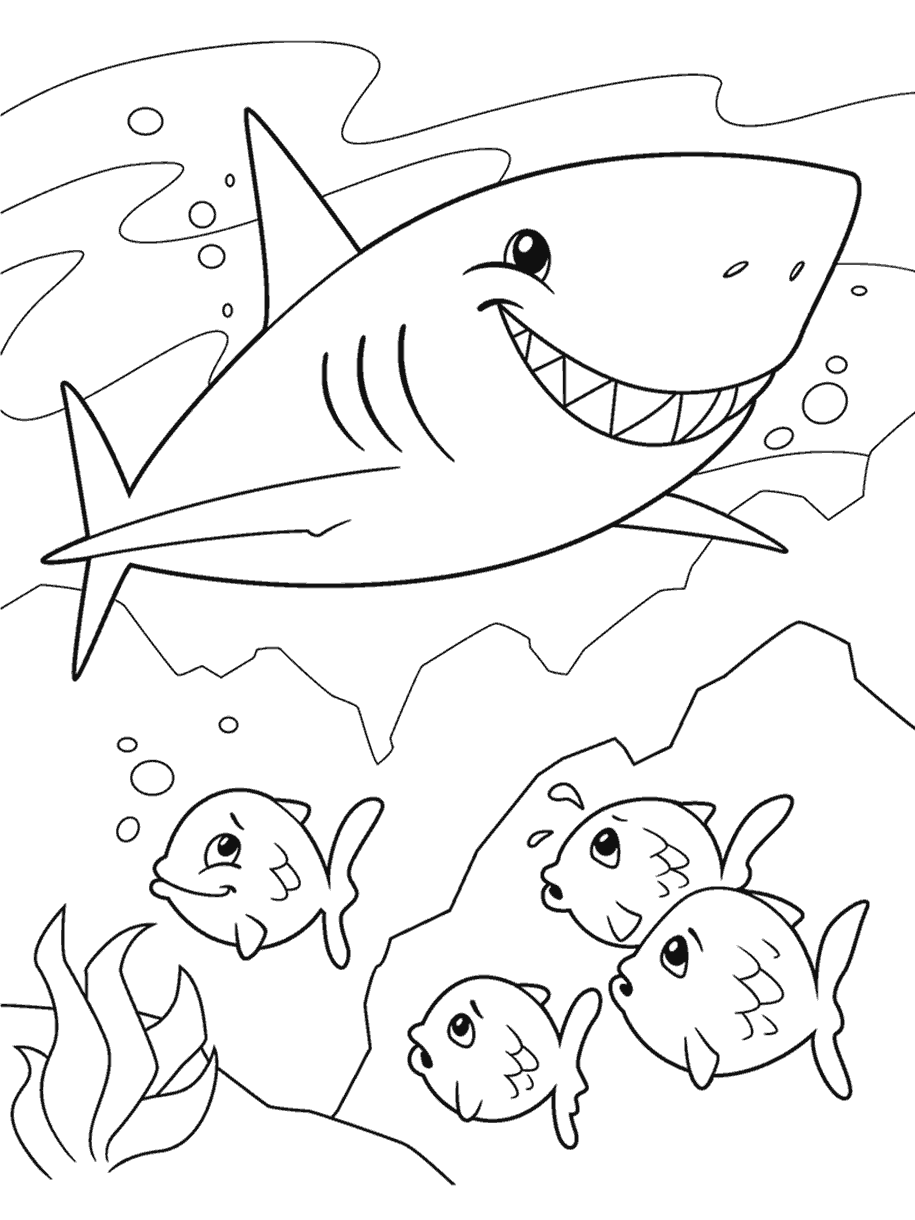 Shark