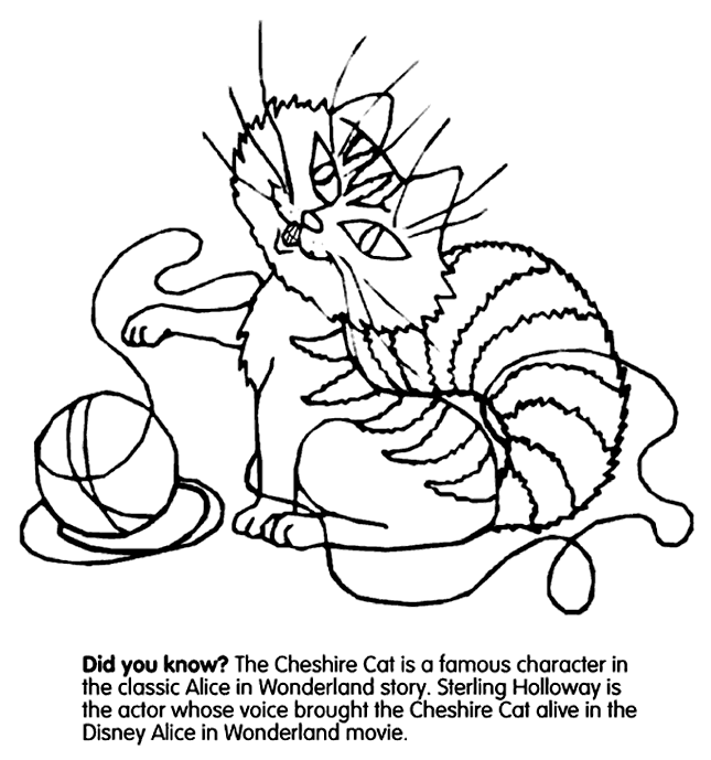 Cheshire Cat
