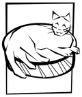 Cute Cat