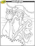 Wizard and His Owl