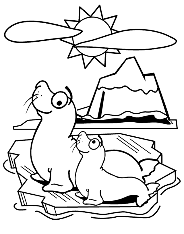 Seal