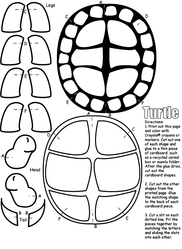 Turtle
