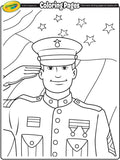 Veterans Day Marine