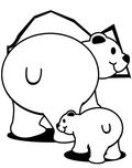 Polar Bears