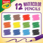 Water Colour Pencils 12 shades  + Water Brush + Papers