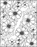 Anemones and Cosmos