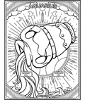 Aquarius Zodiac