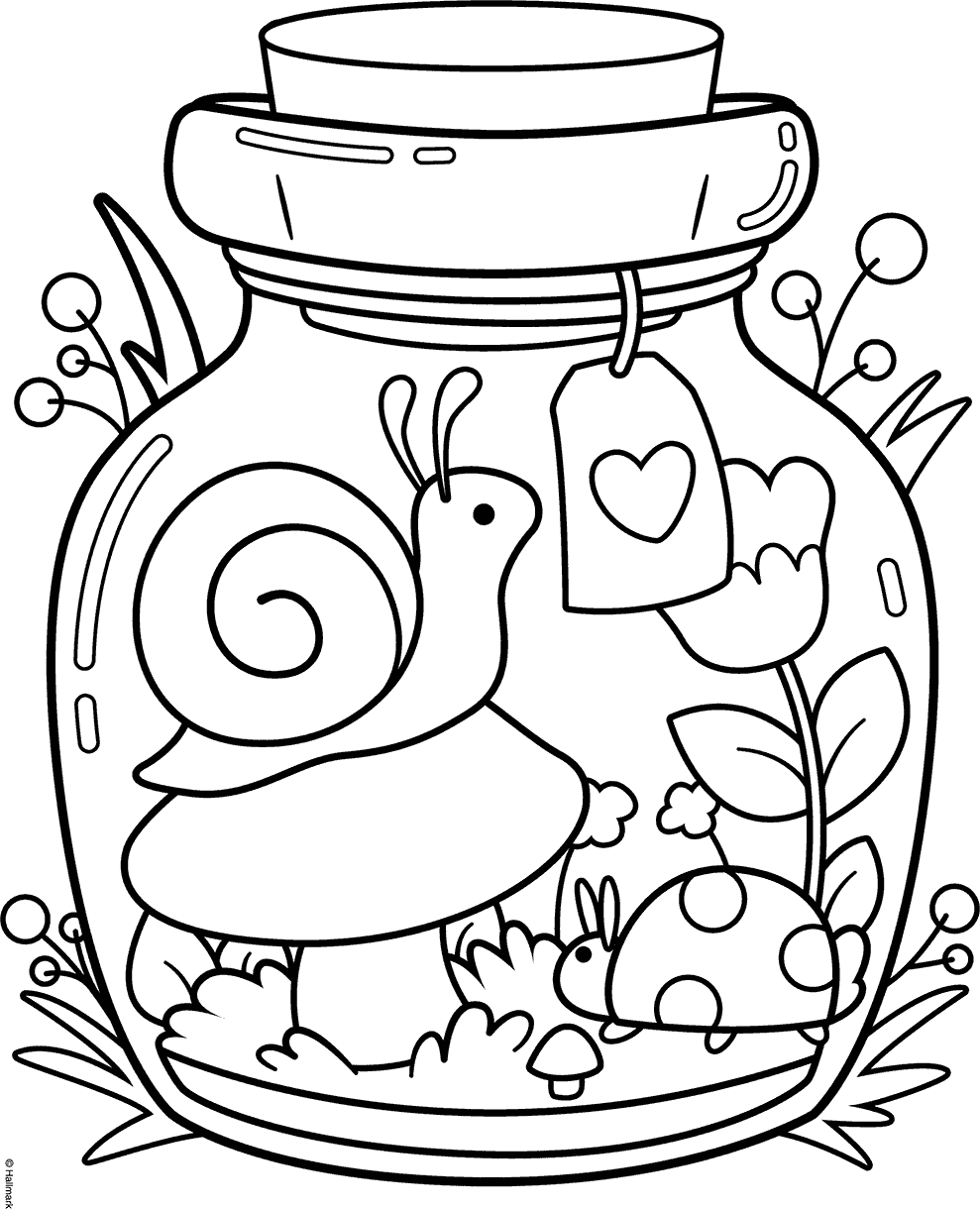 Calming Cottage Snail House