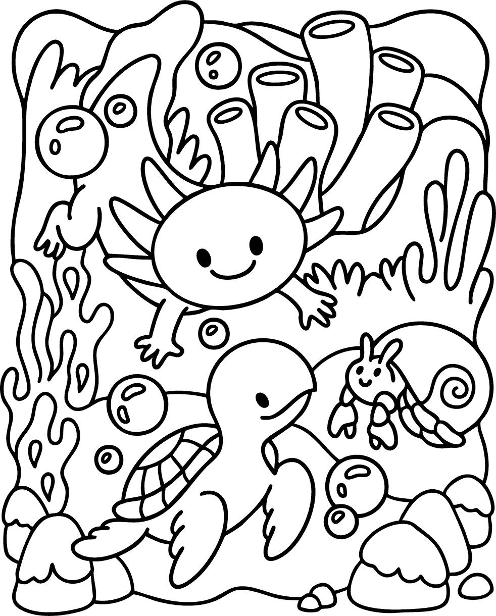 Coral Coast