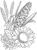 Corn and Flowers