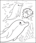Dolphins
