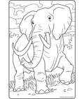 African Elephant
