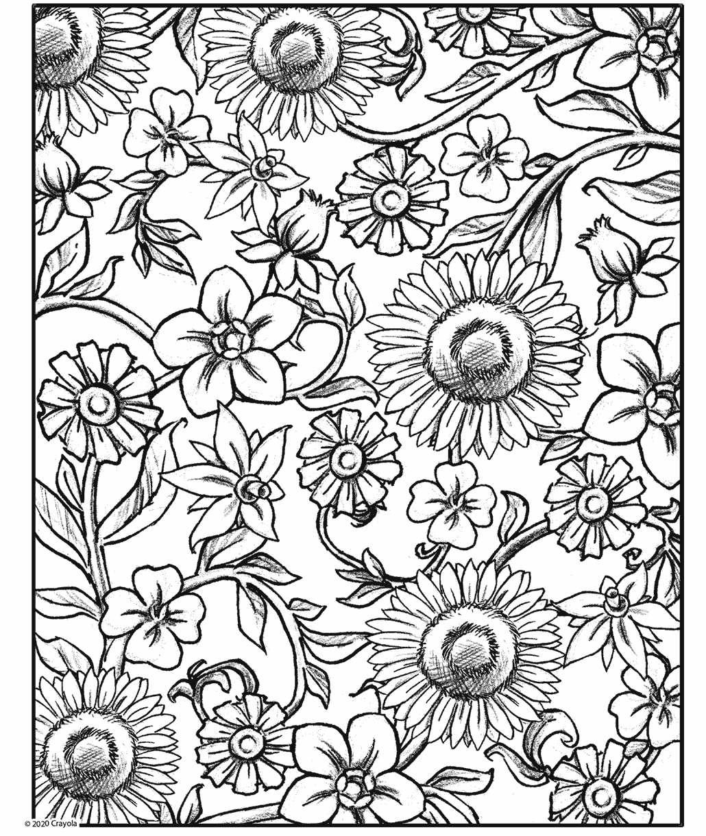 Botanical Bliss