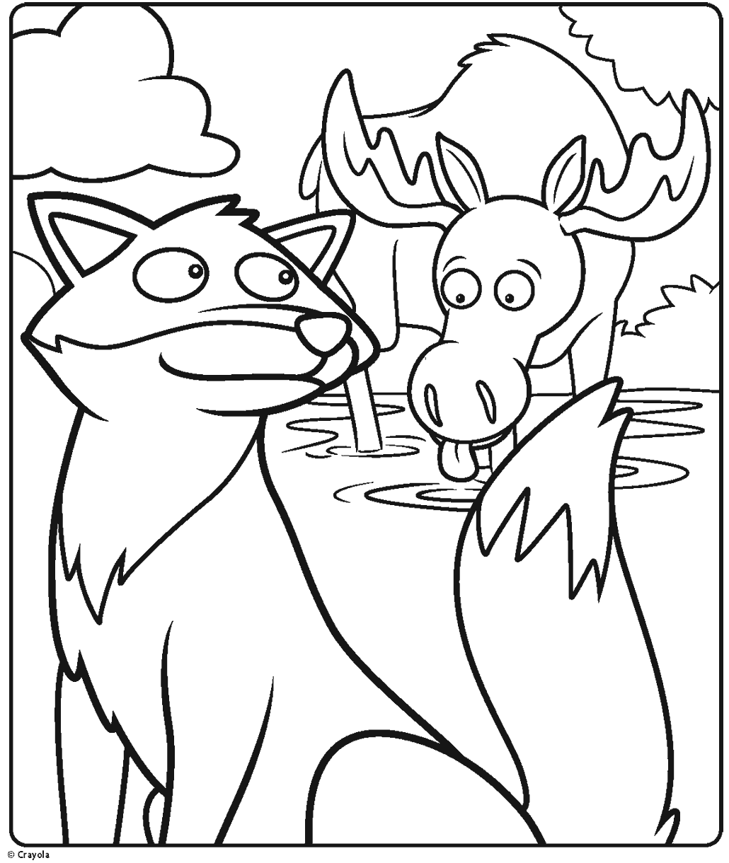 Fox and Moose Friends