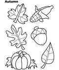 Autumn Leaves