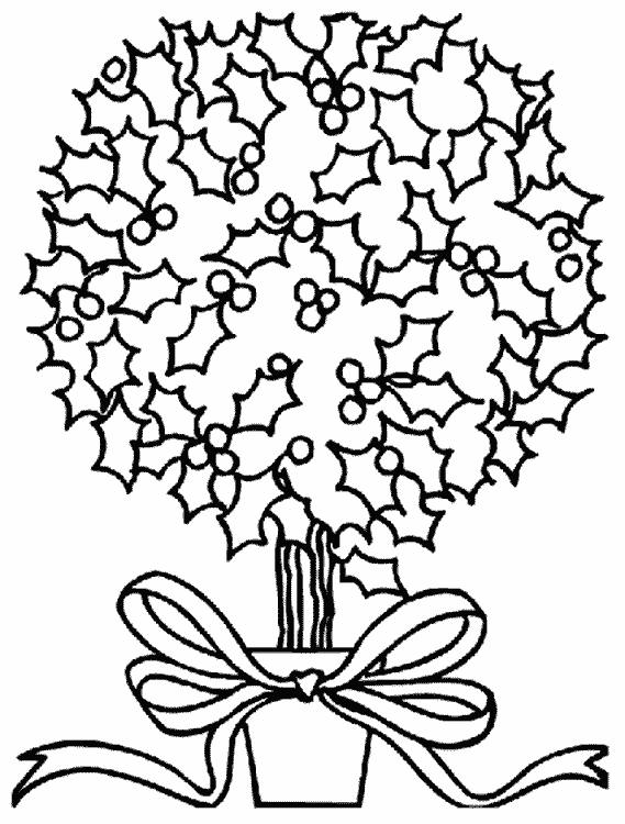 Christmas Holly Bush