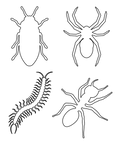 Insects and Bugs