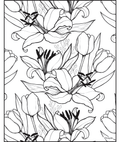 Lily and Tulip Flowers
