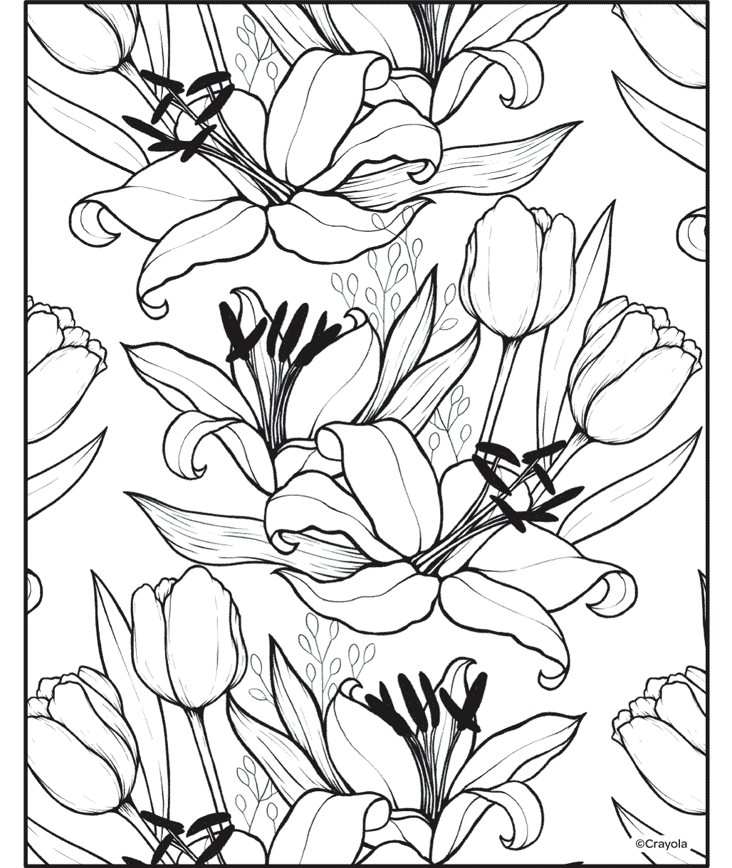 Lily and Tulip Flowers