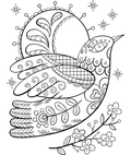 Ornate Dove
