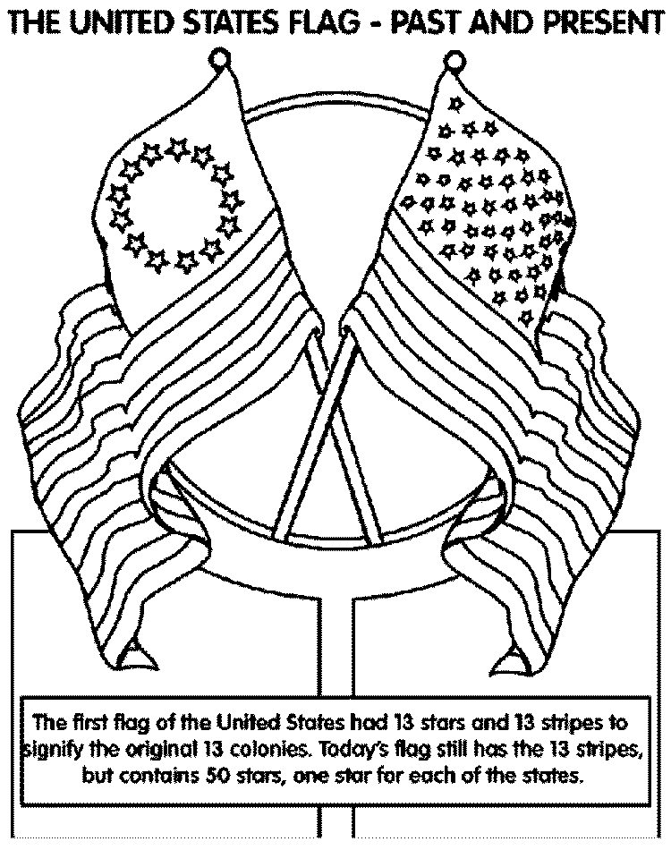 The United States of America Flag