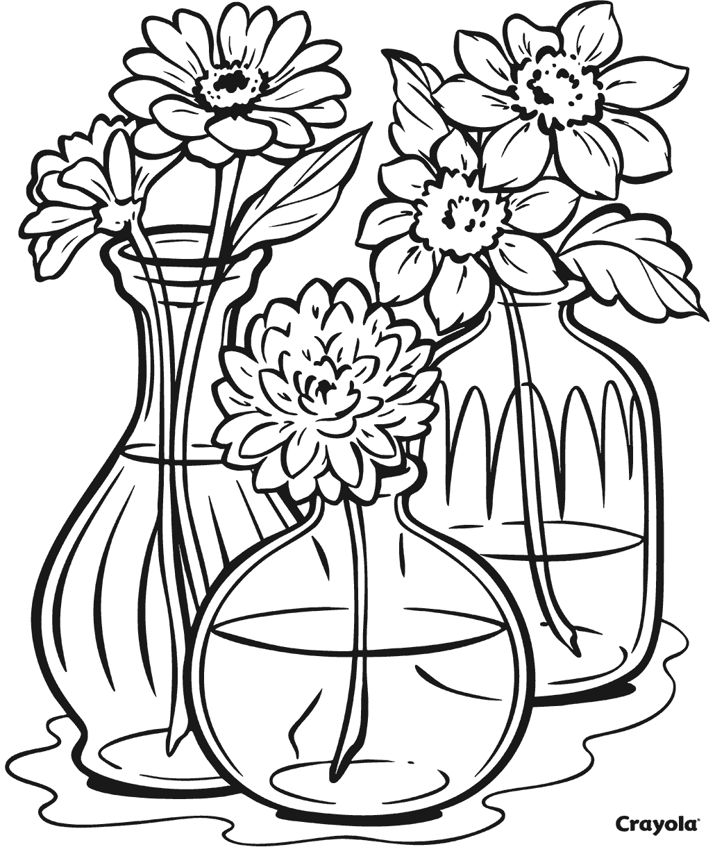 Freshly Cut Flowers