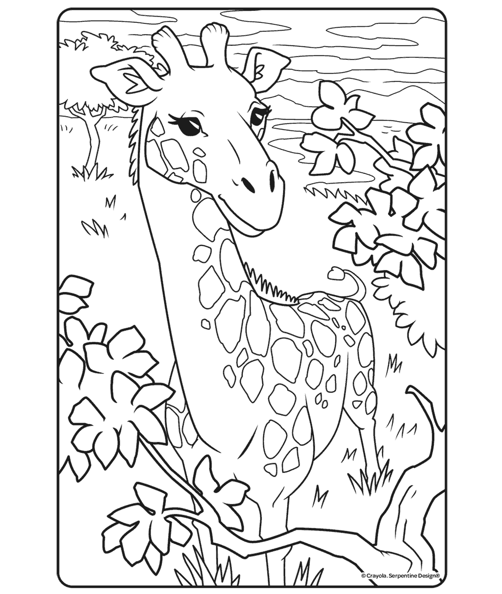 Giraffe