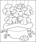 Shamrocks