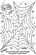 Spiderweb Maze