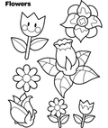 Spring Flowers