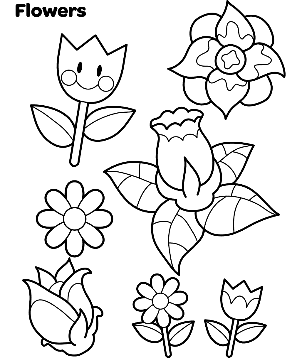 Spring Flowers