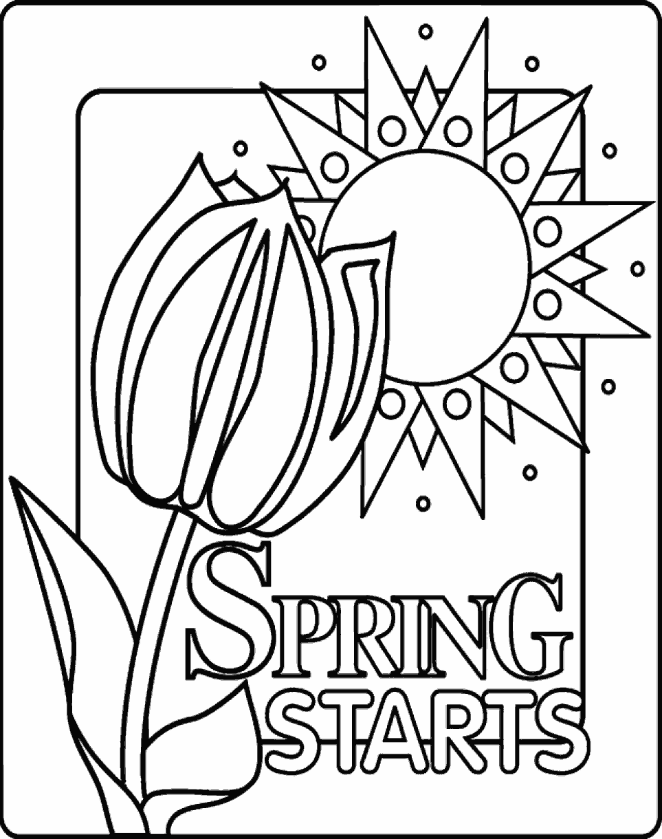 Spring Starts