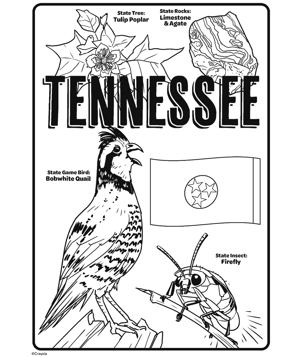 State of Tennessee