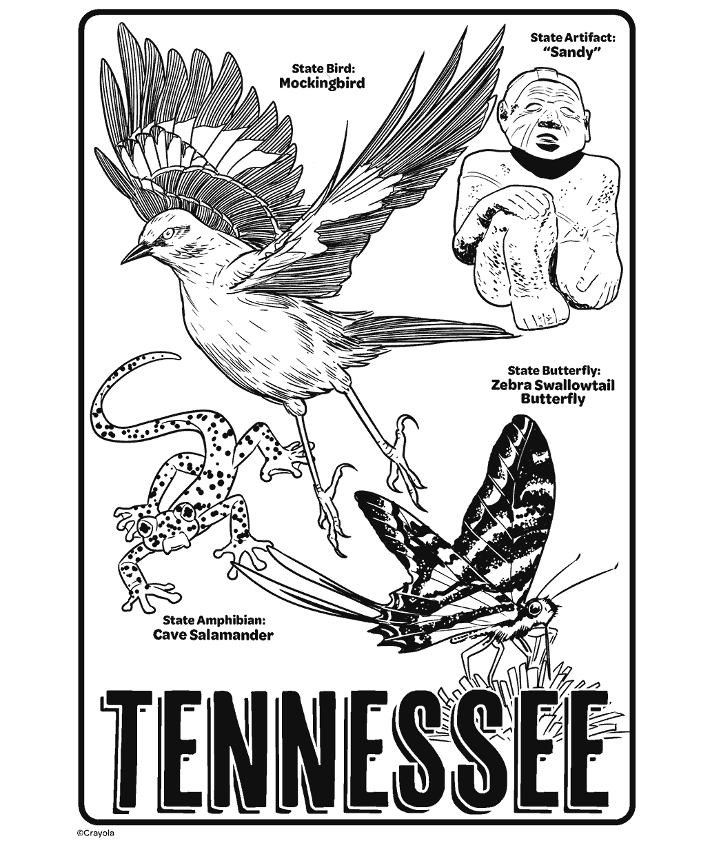 Tennessee State Symbols
