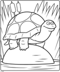 Happy Pond Turtle