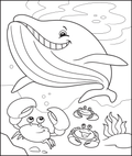 Whale