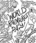 World Rainforest Day